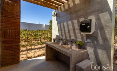 Rancho en VENTA con producción de uva - Valle de Guadalupe