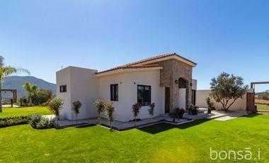Rancho en VENTA con producción de uva - Valle de Guadalupe