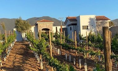 Rancho en VENTA con producción de uva - Valle de Guadalupe