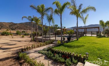 Rancho en VENTA con producción de uva - Valle de Guadalupe