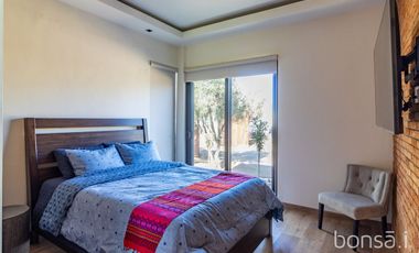 Rancho en VENTA con producción de uva - Valle de Guadalupe