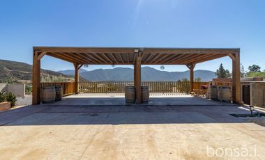 Rancho en VENTA con producción de uva - Valle de Guadalupe