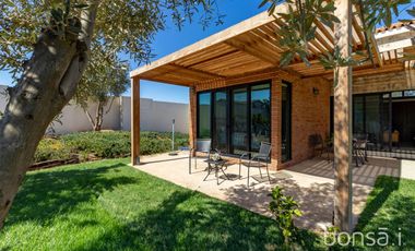 Rancho en VENTA con producción de uva - Valle de Guadalupe