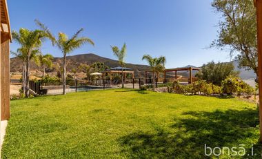 Rancho en VENTA con producción de uva - Valle de Guadalupe