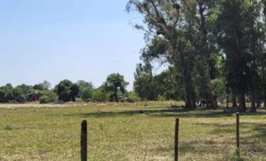 Terrenos en venta - 1500Mts2 - Exaltación de La Cruz