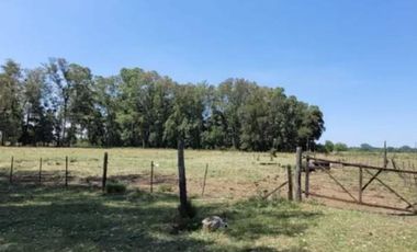 Terrenos en venta - 1500Mts2 - Exaltación de La Cruz