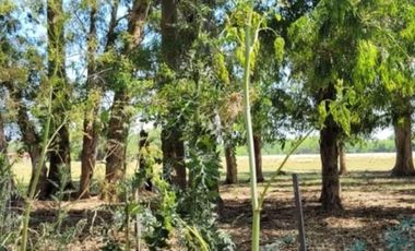 Terrenos en venta - 1500Mts2 - Exaltación de La Cruz