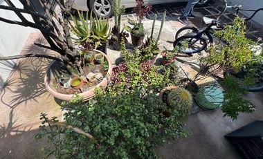 Se vende Casa en Venta, en las Arboledas, AV1770