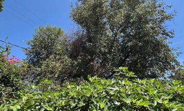 Se vende Casa en Venta, en las Arboledas, AV1770