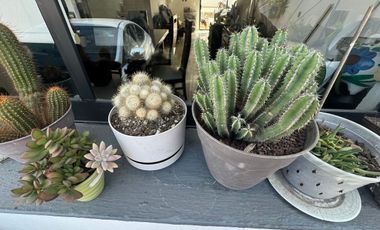 Se vende Casa en Venta, en las Arboledas, AV1770