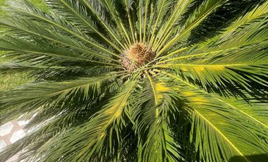 Se vende Casa en Venta, en las Arboledas, AV1770