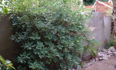 Casa en venta - 4 dormitorios 2 baños - patio y quincho - 315mts2 - Santa Teresita