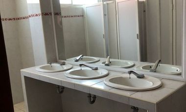 RENTA  EDIFICIO METEPEC TOLUCA ESTADO DE MEXICO