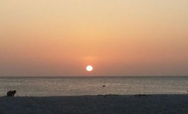 Edificio comercial en venta - 8 unidades funcionales - 650mts2 cubiertos - Las Gaviotas