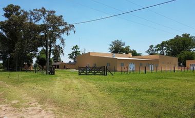 Edificio comercial en venta - 6 dormitorios 2 baños - frigorífico - 20 hectáreas - Navarro