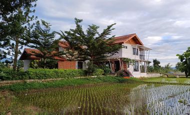 Ruang Usaha Full Furnish dengan Pemandangan Asri di Cianjur