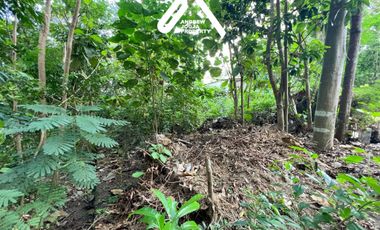 JUAL TANAH PEKARANGAN BANGUNJIWO GENDENG LOKASI STRATEGIS