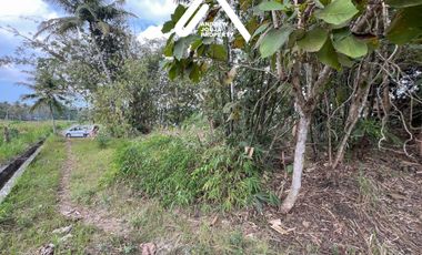 Jual Tanah Pekarangan Sentolo Kulon Progo View Sawah Parit dan Sungai