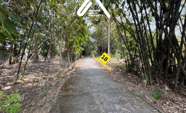 Jual Tanah Pekarangan Sentolo Kulon Progo View Sawah Parit dan Sungai