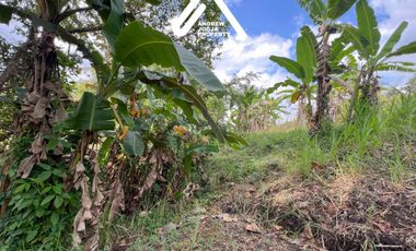 Jual Tanah Pekarangan Sentolo Kulon Progo View Sawah Parit dan Sungai