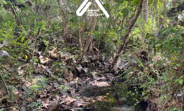 Jual Tanah Pekarangan Sentolo Kulon Progo View Sawah Parit dan Sungai