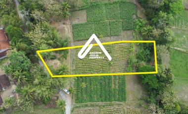 Jual Tanah Pekarangan Sentolo Kulon Progo View Sawah Parit dan Sungai