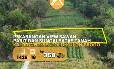 Jual Tanah Pekarangan Sentolo Kulon Progo View Sawah Parit dan Sungai