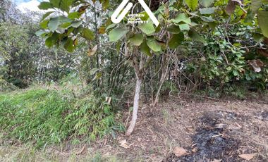 Jual Tanah Pekarangan Sentolo Kulon Progo View Sawah Parit dan Sungai