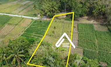 Jual Tanah Pekarangan Sentolo Kulon Progo View Sawah Parit dan Sungai