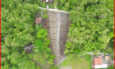 Salamrejo Sentolo, Jual Tanah Jogja Dekat RS. Queen Lathifa