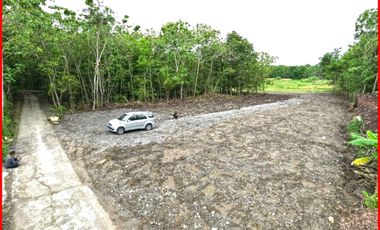 Salamrejo Sentolo, Jual Tanah Jogja Dekat RS. Queen Lathifa