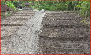 Salamrejo Sentolo, Jual Beli Tanah jogja Dekat Pintu Tol Sentolo