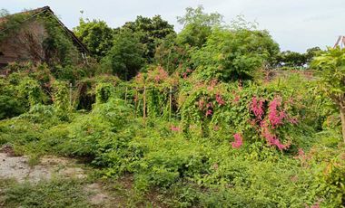 Dijual Rumah Lokasi Tengah Kota Dusun Gebyaran Pati