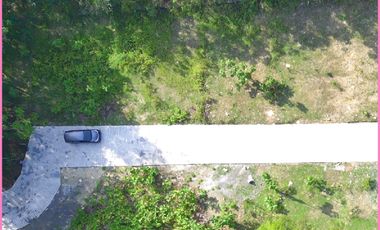 Model Classic Type 50, Rumah Dijual Panjatan Kulon Progo