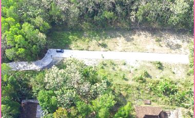 Model Classic Type 50, Rumah Dijual Panjatan Kulon Progo