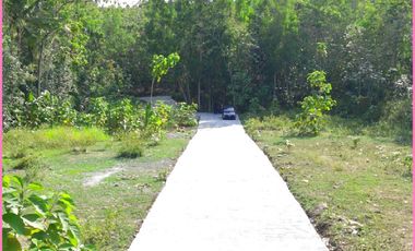 Model Classic Type 50, Rumah Dijual Panjatan Kulon Progo