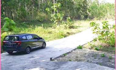 Model Classic Type 50, Rumah Dijual Panjatan Kulon Progo