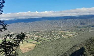 Terreno / Lote en venta de 625m2 ubicado en La Carrera