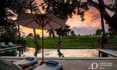 FREEHOLD RUSTIC STYLE VILLA OFFERS RICE-FIELD VIEWS IN CANGGU