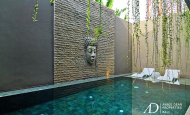 FREEHOLD VILLA WITH COMMERCIAL POTENTIAL IN PETITENGET