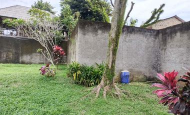 Rumah Bogor Park Residence halaman belakang luas sejuk adem nyaman