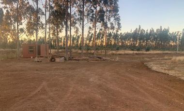 Ruta P-330/P-40 - Parcela - Venta