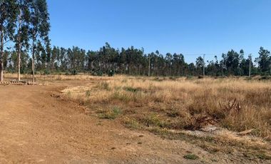 Ruta P-330/P-40 - Parcela - Venta