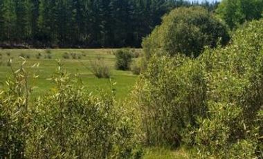 Camino Hotel Villa Baviera/Camino Catillo - Parcela - Venta