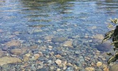 Camino Hotel Villa Baviera/Camino Catillo - Parcela - Venta