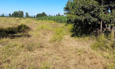 Ruta 5 sur/Parcelación Santa Teresa - Parcela - Venta