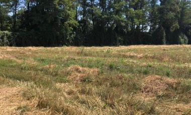 Ruta 5 sur/Parcelación Santa Teresa - Parcela - Venta