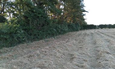 Ruta 5 sur/Parcelación Santa Teresa - Parcela - Venta