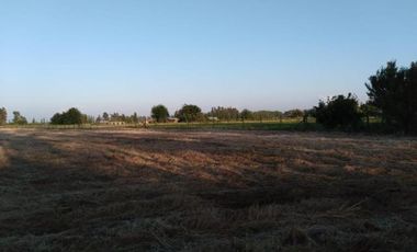 Ruta 5 sur/Parcelación Santa Teresa - Parcela - Venta