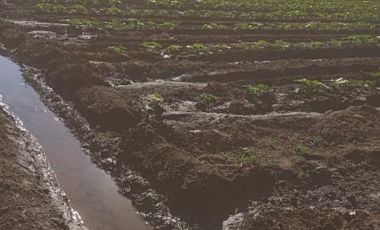 San Blas/Rio Longavi - Parcela - Venta